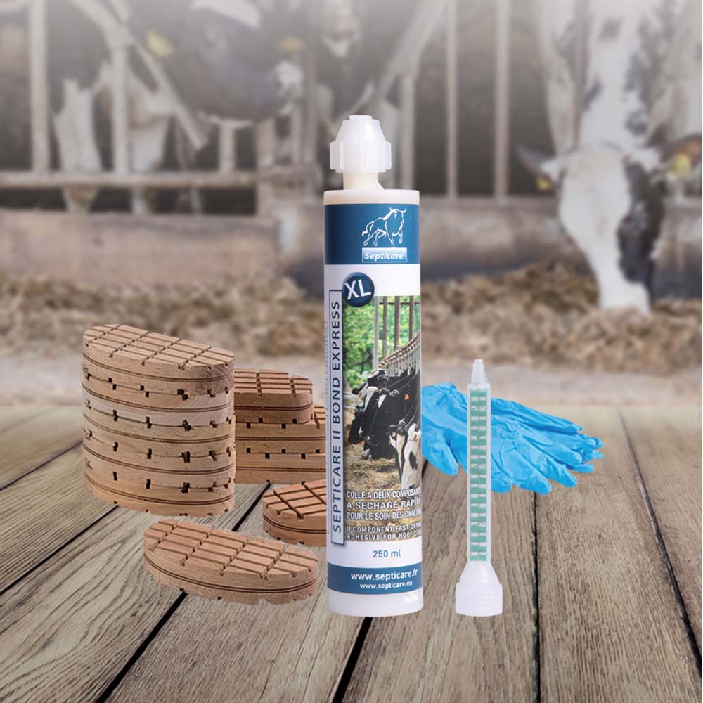 Septicare II Hoof Care