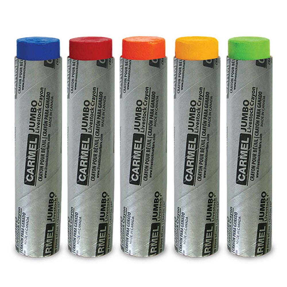 Carmel Paint Crayon, Box of 12 (Black)